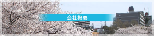 ЊTv
