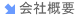 ЊTv